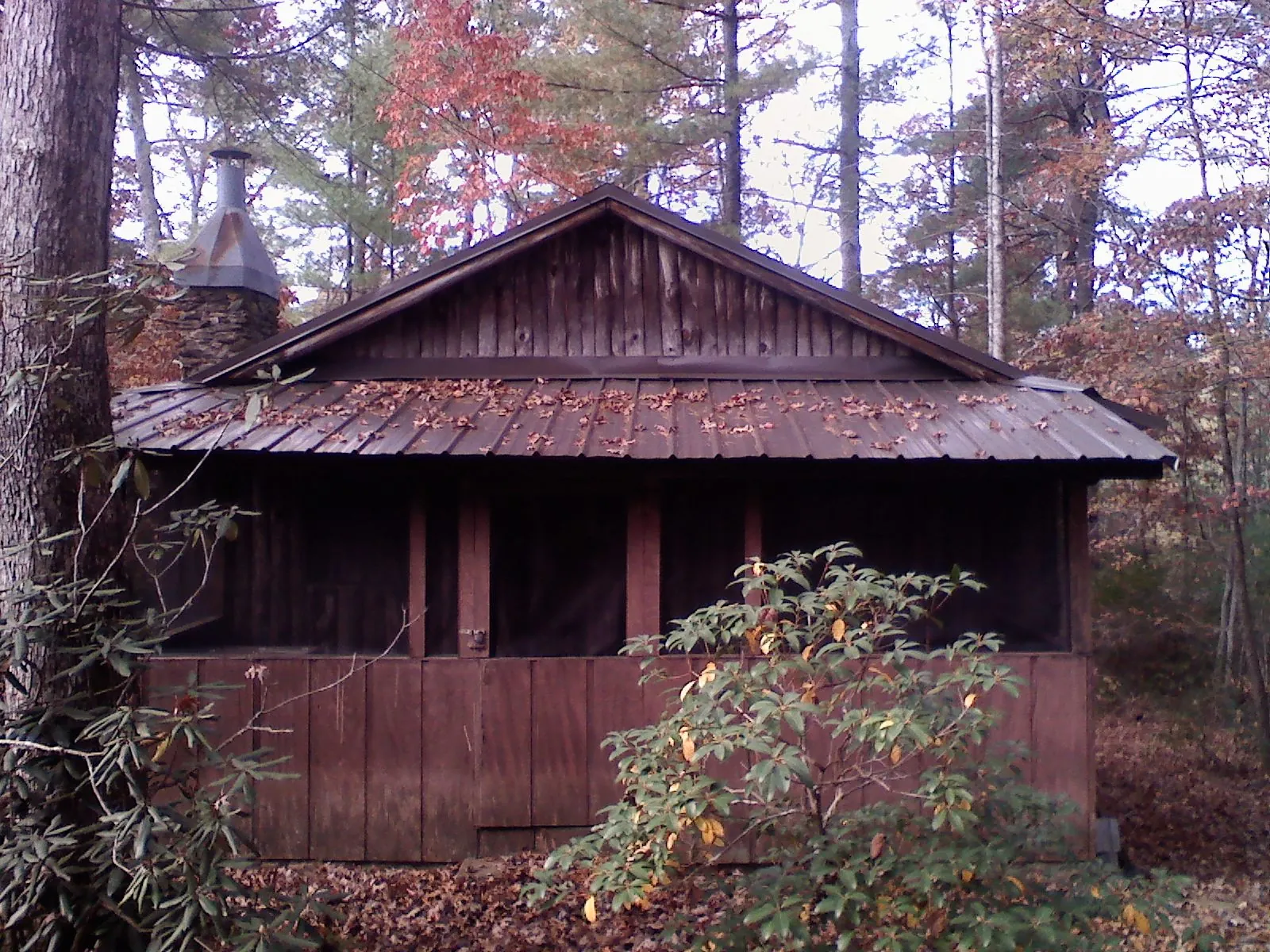 Metal roof over the screened porch of a rustic cabin in Abbeville